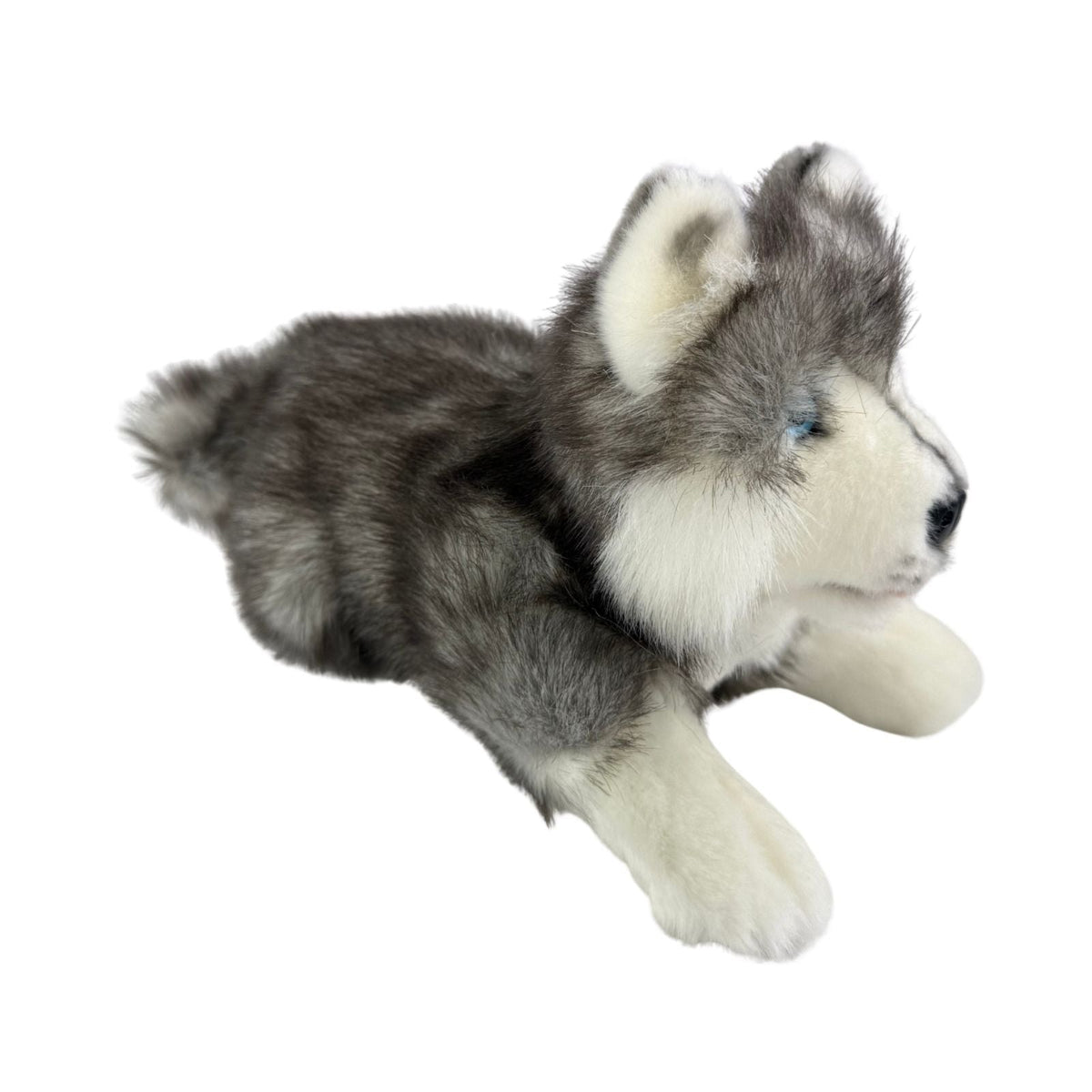 Bocchetta Marbles 28cm Floppy Husky Puppy Plush Toy (Realistic Stuffed Animal Dog Gift)