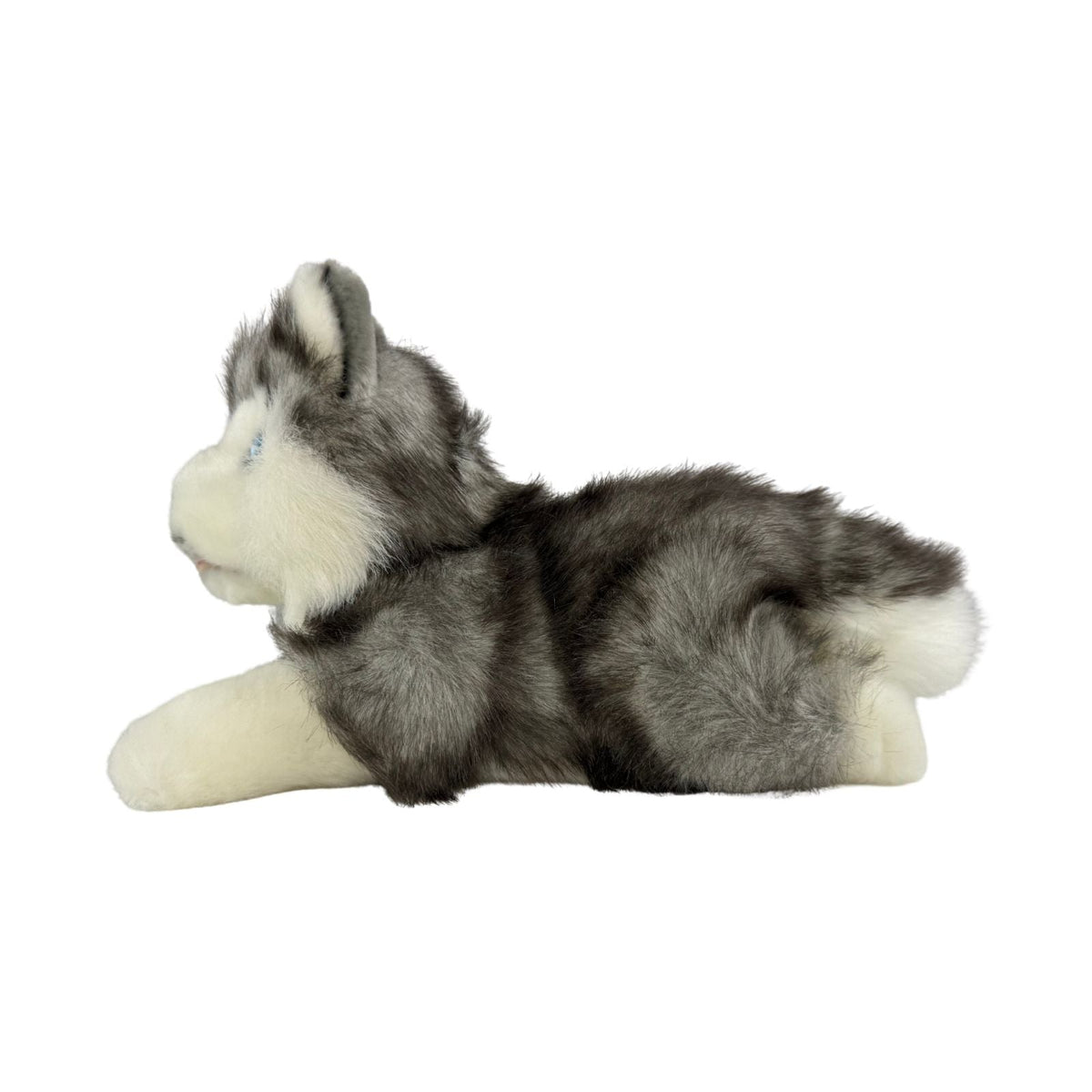 Bocchetta Marbles 28cm Floppy Husky Puppy Plush Toy (Realistic Stuffed Animal Dog Gift)