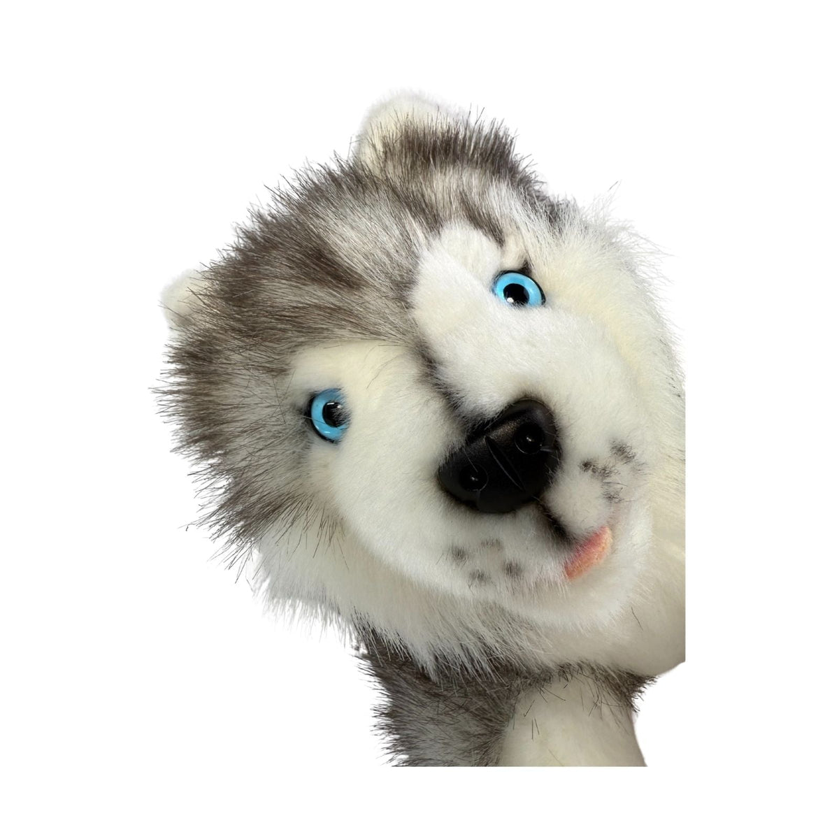Bocchetta Marbles 28cm Floppy Husky Puppy Plush Toy (Realistic Stuffed Animal Dog Gift)