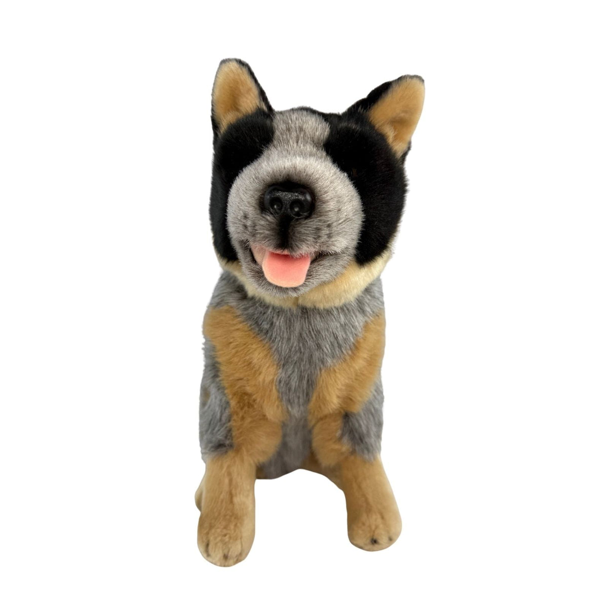 Bocchetta Marshall 30cm Sitting Blue Heeler Cattle Dog Plush Toy (Australian Stuffed Animal Gift)