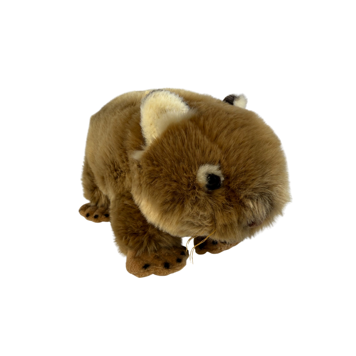 Bocchetta Matilda 30cm Wombat Plush Toy (Australian Stuffed Animal Souvenir Gift)