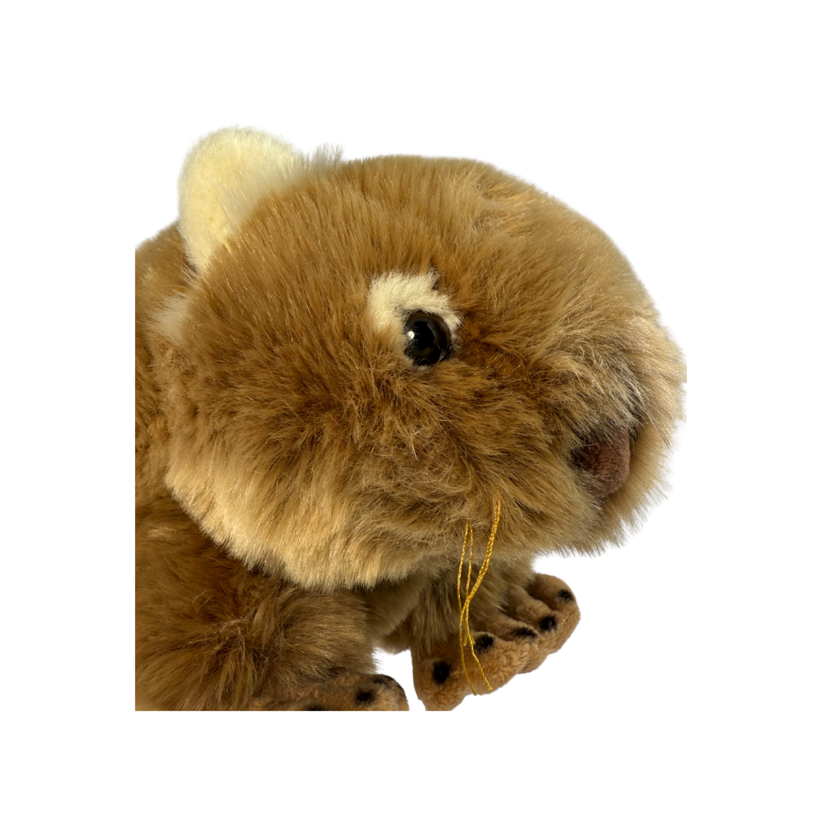 Bocchetta Matilda 30cm Wombat Plush Toy (Australian Stuffed Animal Souvenir Gift)