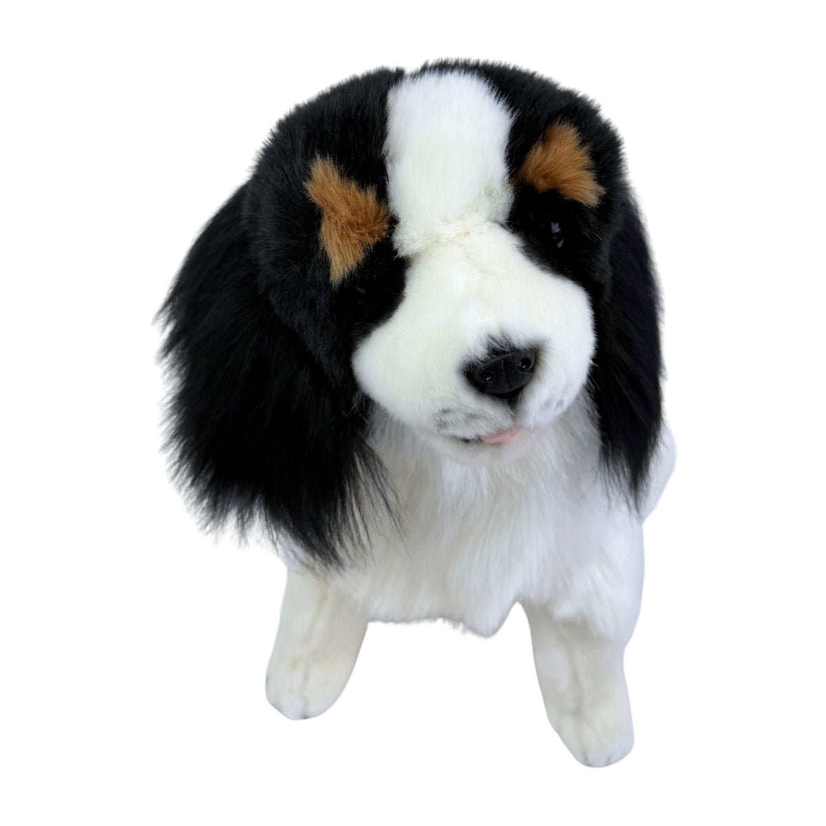 Bocchetta Chester 32cm Sitting Cavalier King Charles Spaniel Plush Toy (Realistic Stuffed Animal Dog Gift)