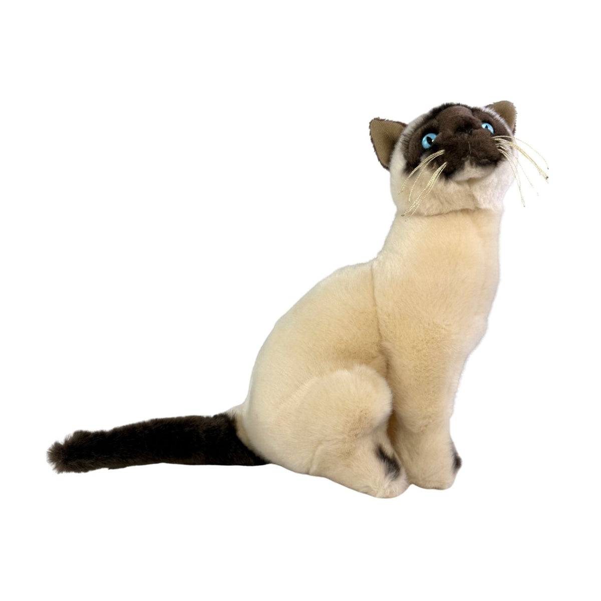 Bocchetta Noodles 26cm Sitting Siamese Cat Plush Toy (Realistic Stuffed Animal Cat Gift)