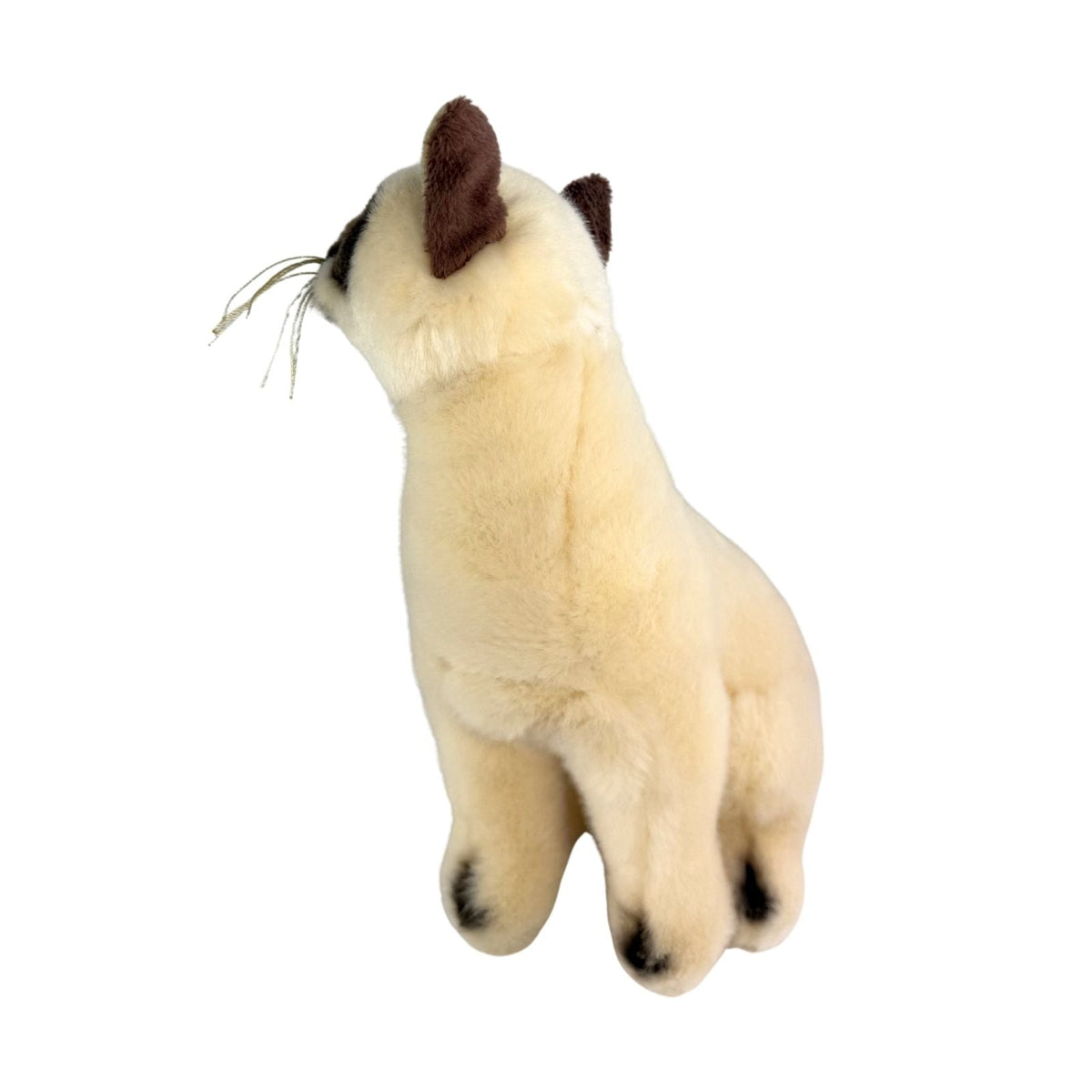 Bocchetta Noodles 26cm Sitting Siamese Cat Plush Toy (Realistic Stuffed Animal Cat Gift)