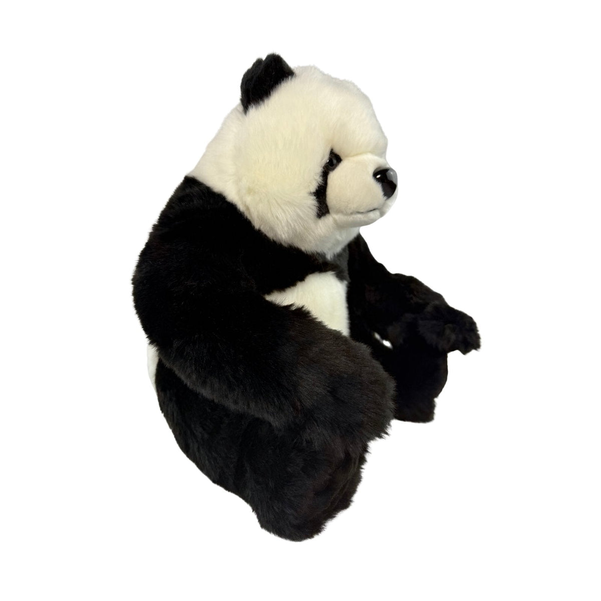 Bocchetta Ty 34cm Panda Bear Cub Plush Toy (Realistic Stuffed Animal Wildlife Gift)