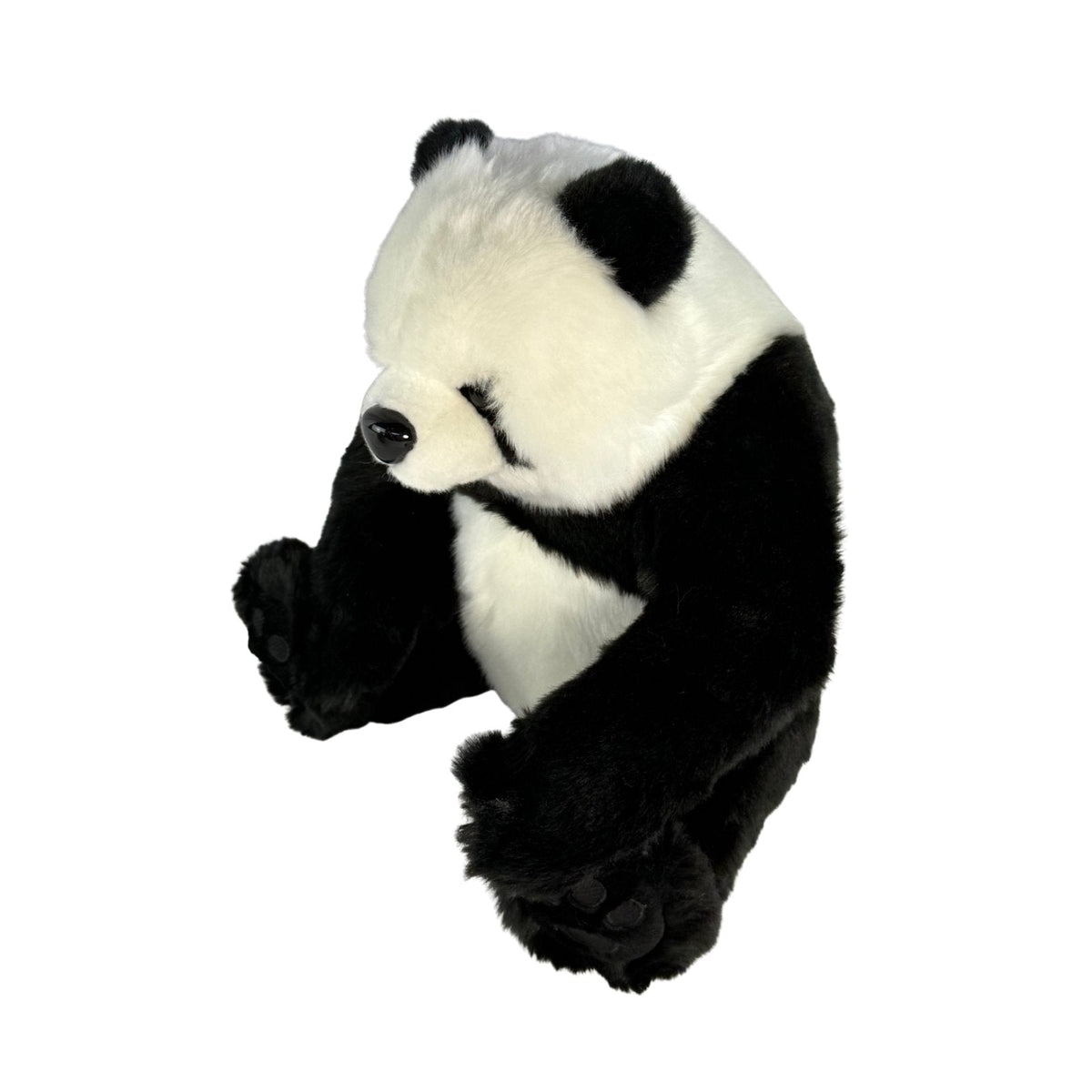 Bocchetta Ty 34cm Panda Bear Cub Plush Toy (Realistic Stuffed Animal Wildlife Gift)