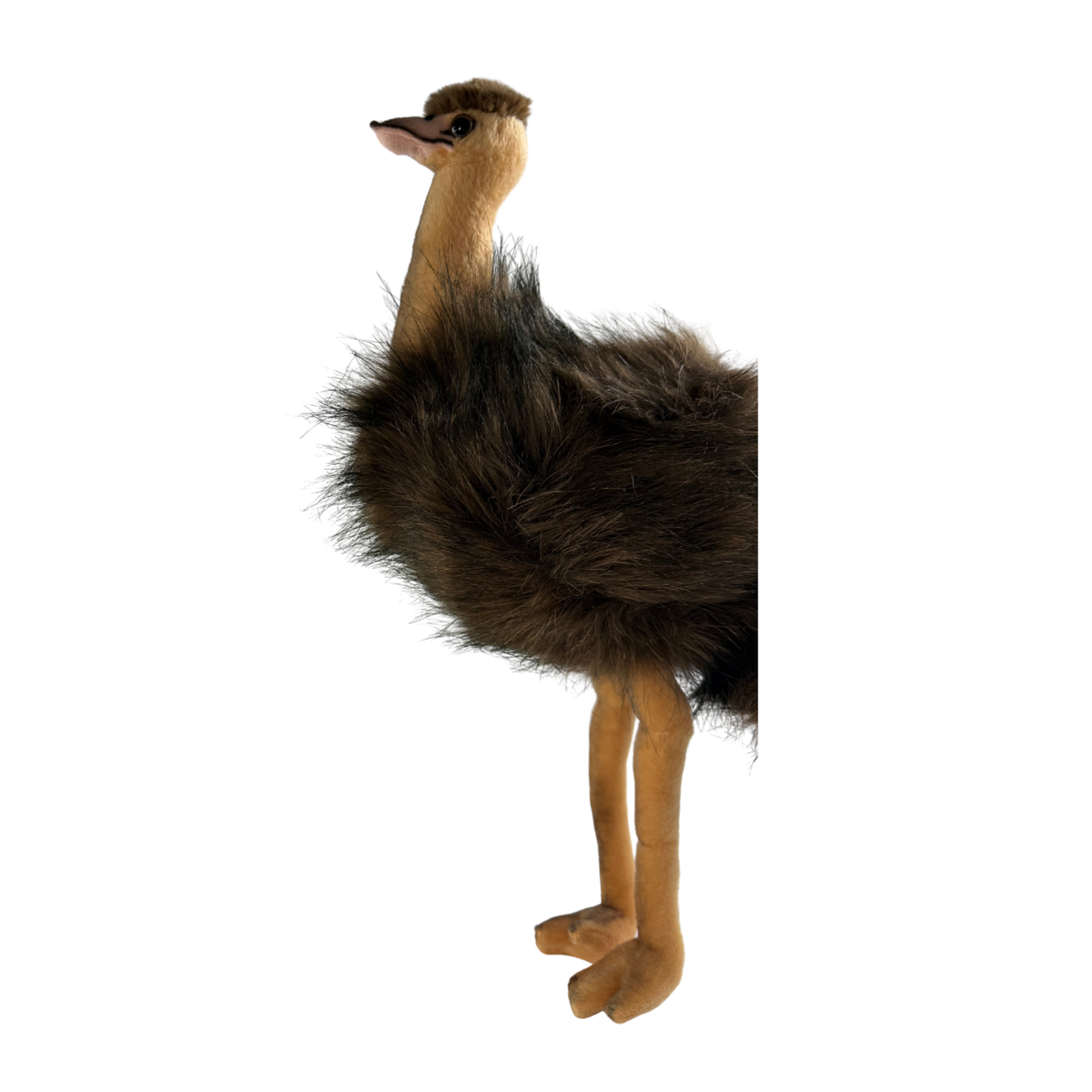 Bocchetta Penny 25cm Sitting Emu Plush Toy (Australian Stuffed Animal Souvenir Gift)