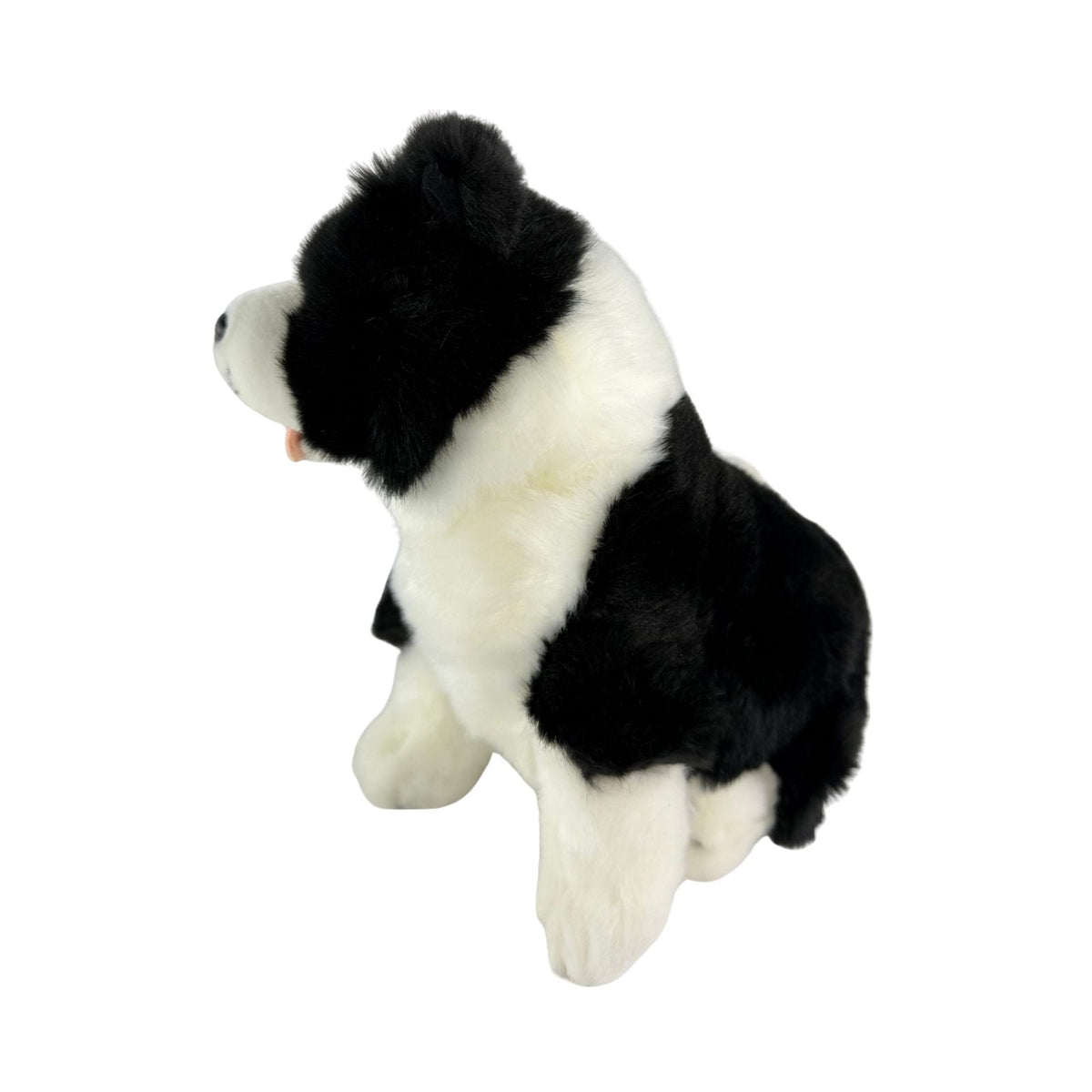 Bocchetta Pepsi 23cm Sitting Border Collie Puppy Plush Toy - Black/White (Realistic Stuffed Animal Dog Gift)