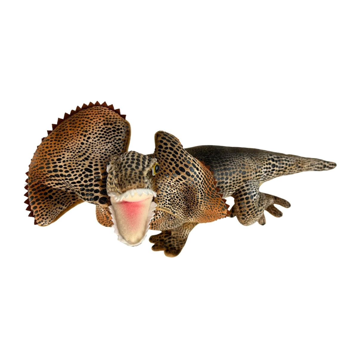 Bocchetta Philly 34cm Frilled Neck Lizard Plush Toy (Australian Stuffed Animal Souvenir Gift)