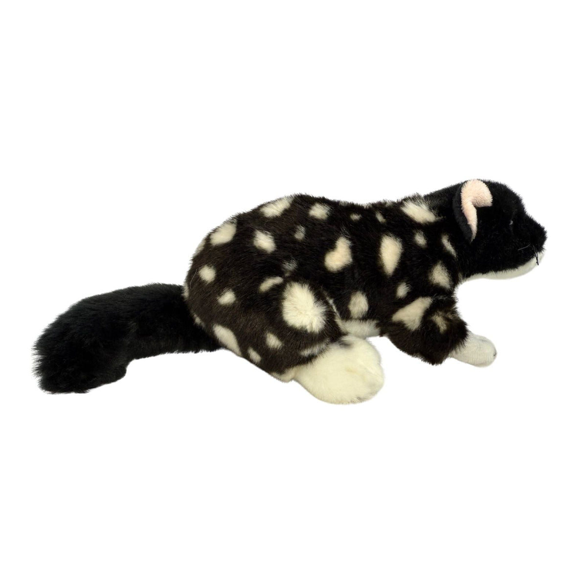 Bocchetta Polka 20cm Eastern Quoll Plush Toy - Black (Australian Stuffed Animal Souvenir Gift)
