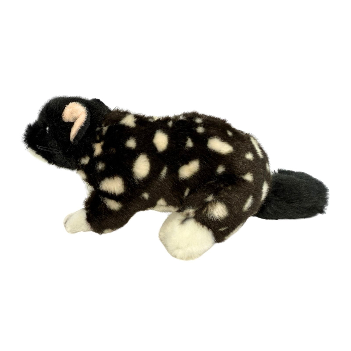 Bocchetta Polka 20cm Eastern Quoll Plush Toy - Black (Australian Stuffed Animal Souvenir Gift)