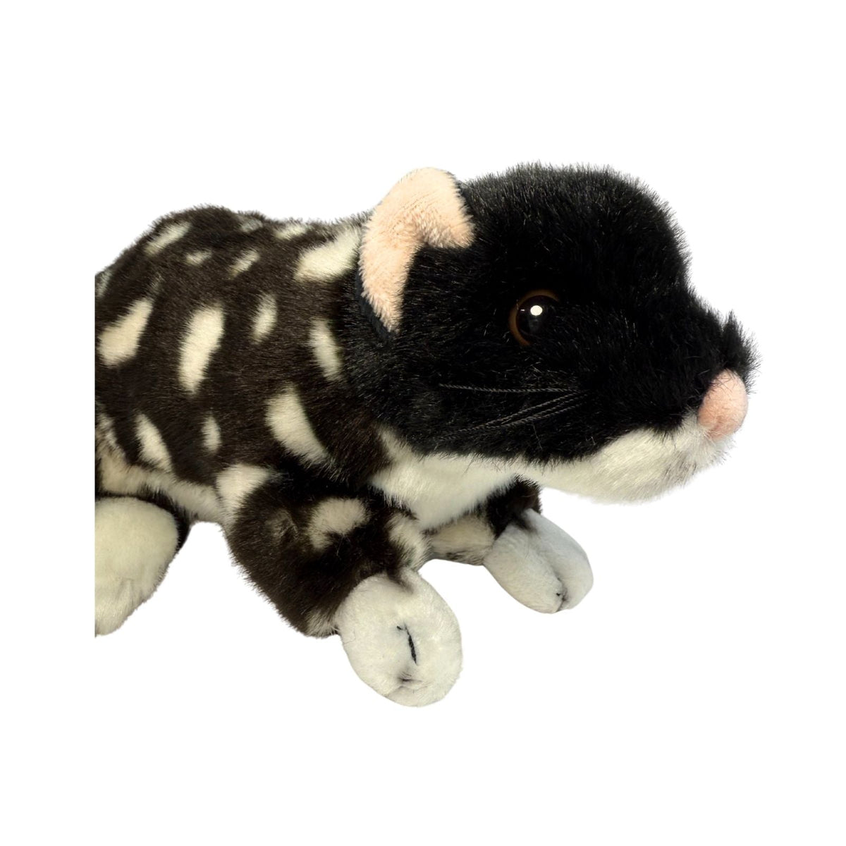 Bocchetta Polka 20cm Eastern Quoll Plush Toy - Black (Australian Stuffed Animal Souvenir Gift)