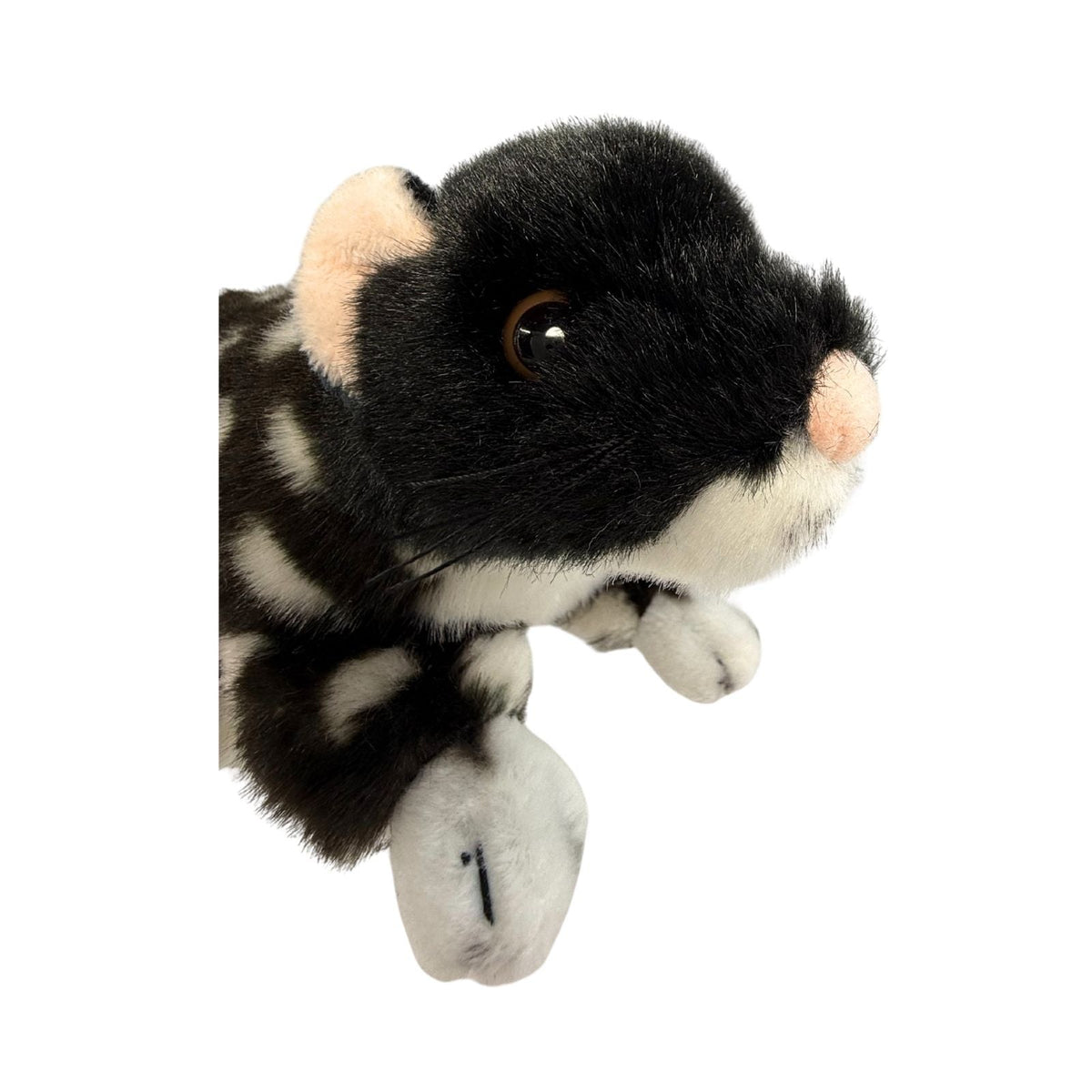 Bocchetta Polka 20cm Eastern Quoll Plush Toy - Black (Australian Stuffed Animal Souvenir Gift)
