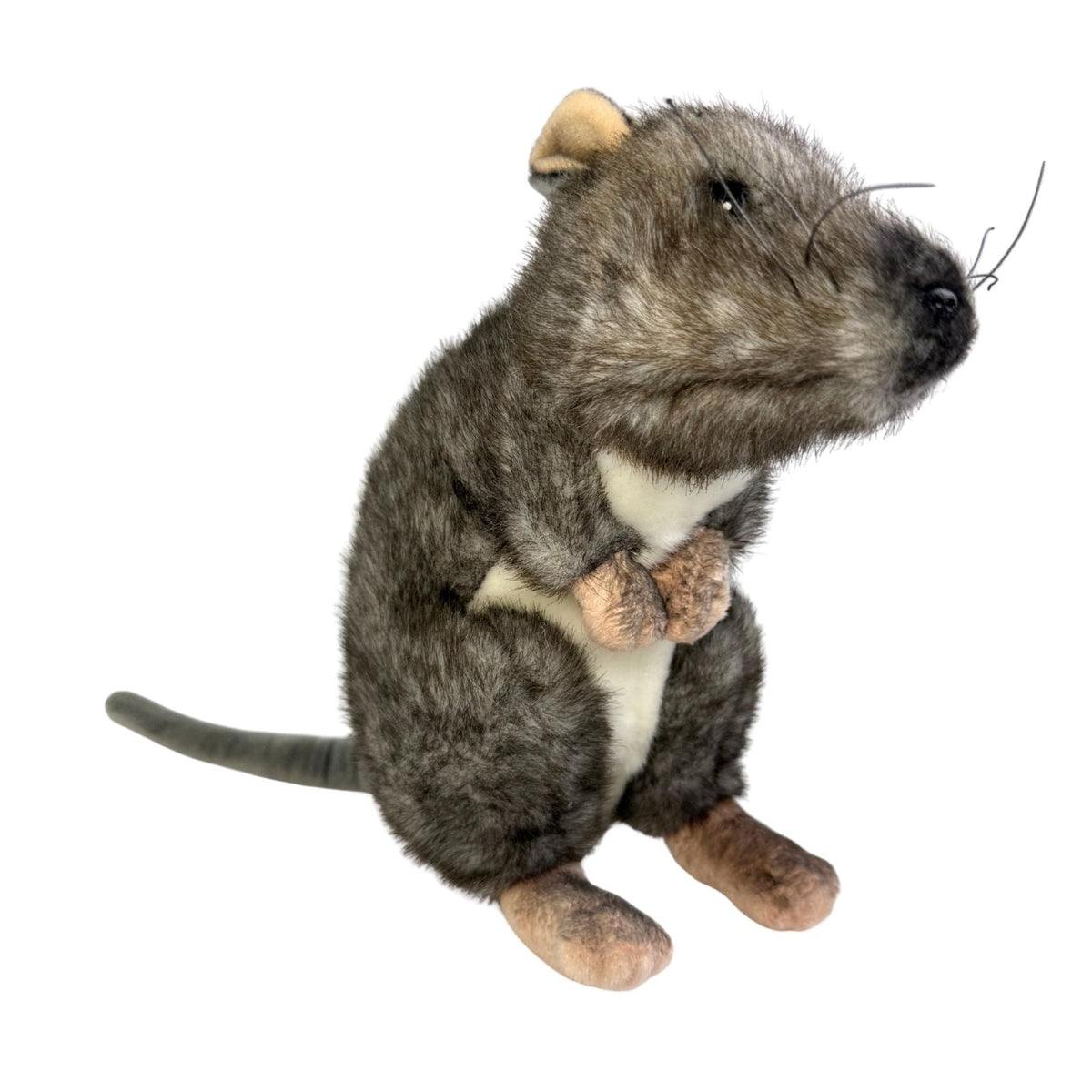 Bocchetta Popcorn 21cm Standing Potoroo Plush Toy (Australian Stuffed Animal Souvenir Gift)