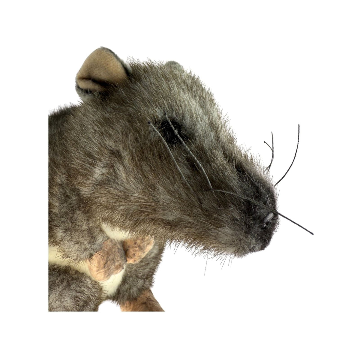 Bocchetta Popcorn 21cm Standing Potoroo Plush Toy (Australian Stuffed Animal Souvenir Gift)