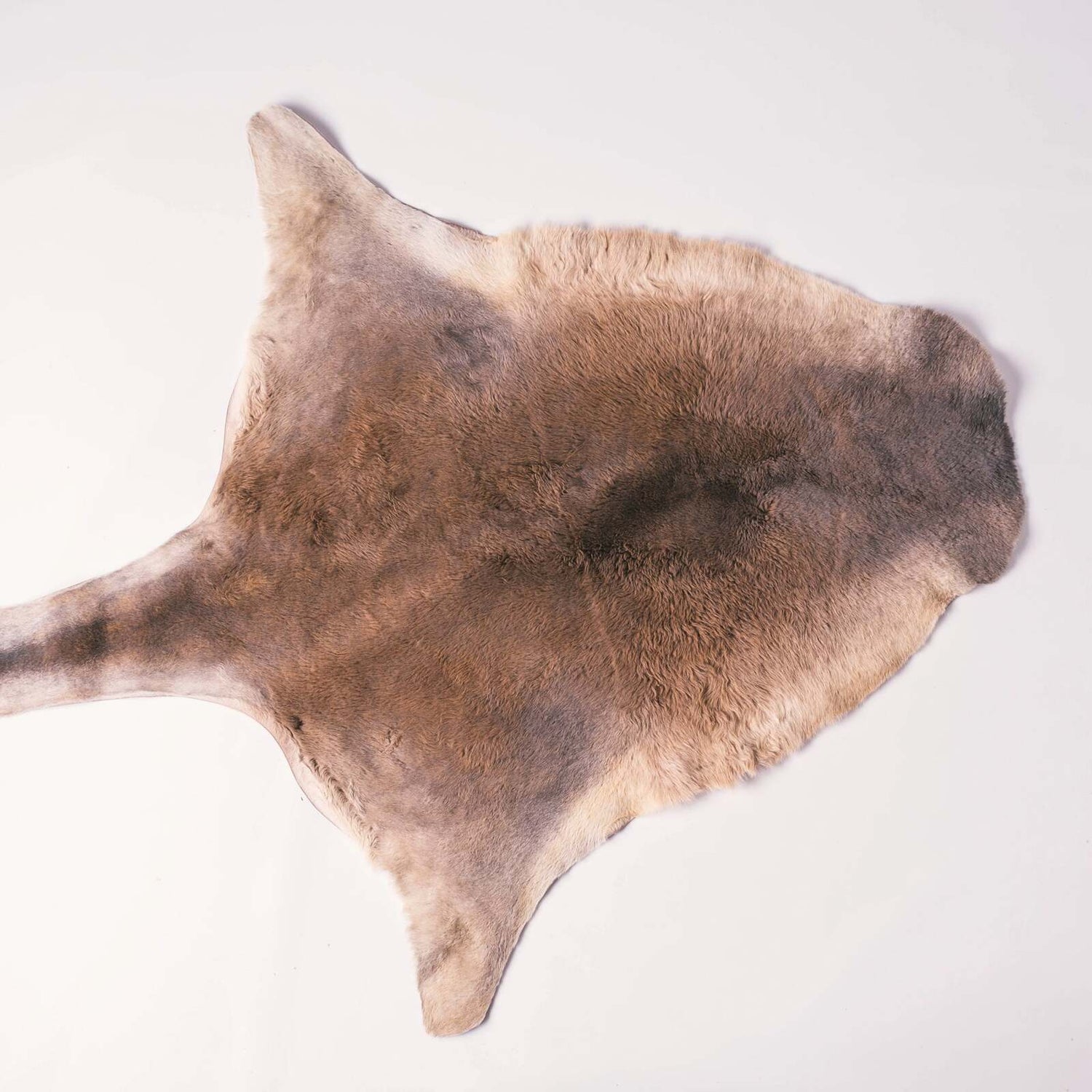 Kangaroo Fur Hide - Australian Tanned Leather Skin