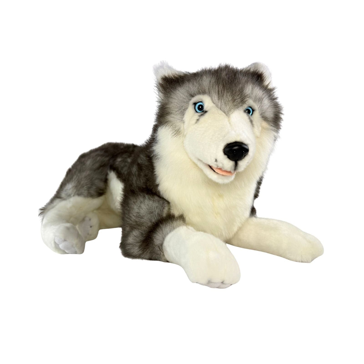 Bocchetta Rocco 62cm Lying Husky Plush Toy (Realistic Stuffed Animal Dog Gift)