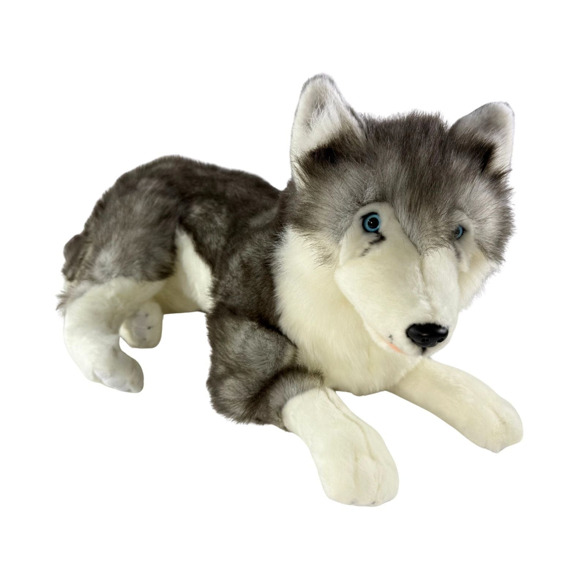 Bocchetta Rocco 62cm Lying Husky Plush Toy (Realistic Stuffed Animal Dog Gift)