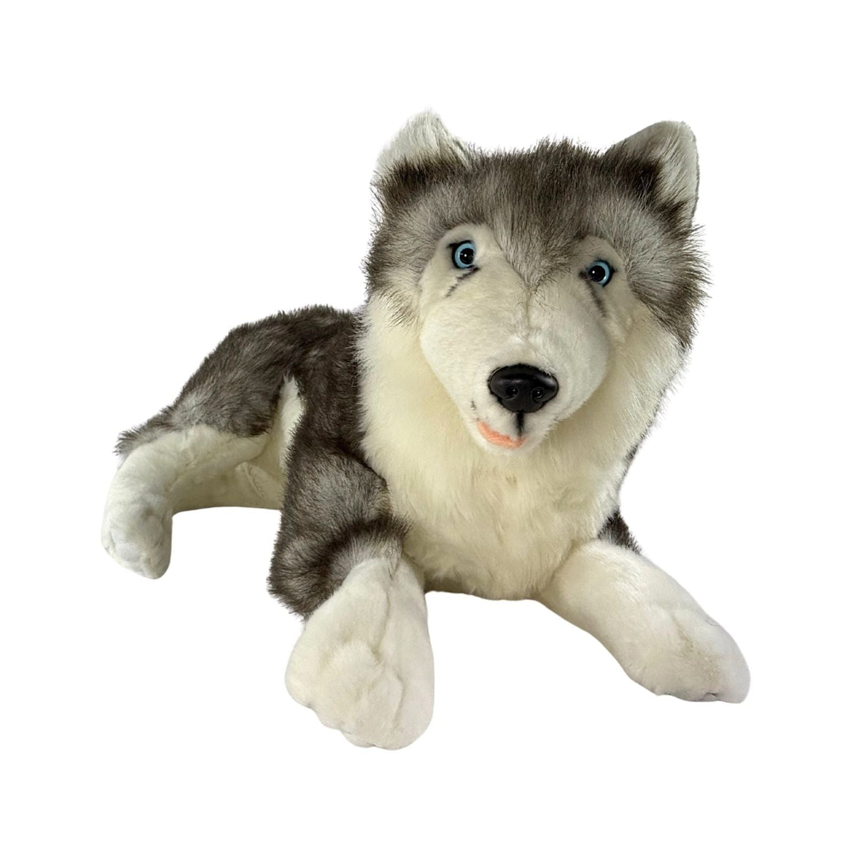 Bocchetta Rocco 62cm Lying Husky Plush Toy (Realistic Stuffed Animal Dog Gift)