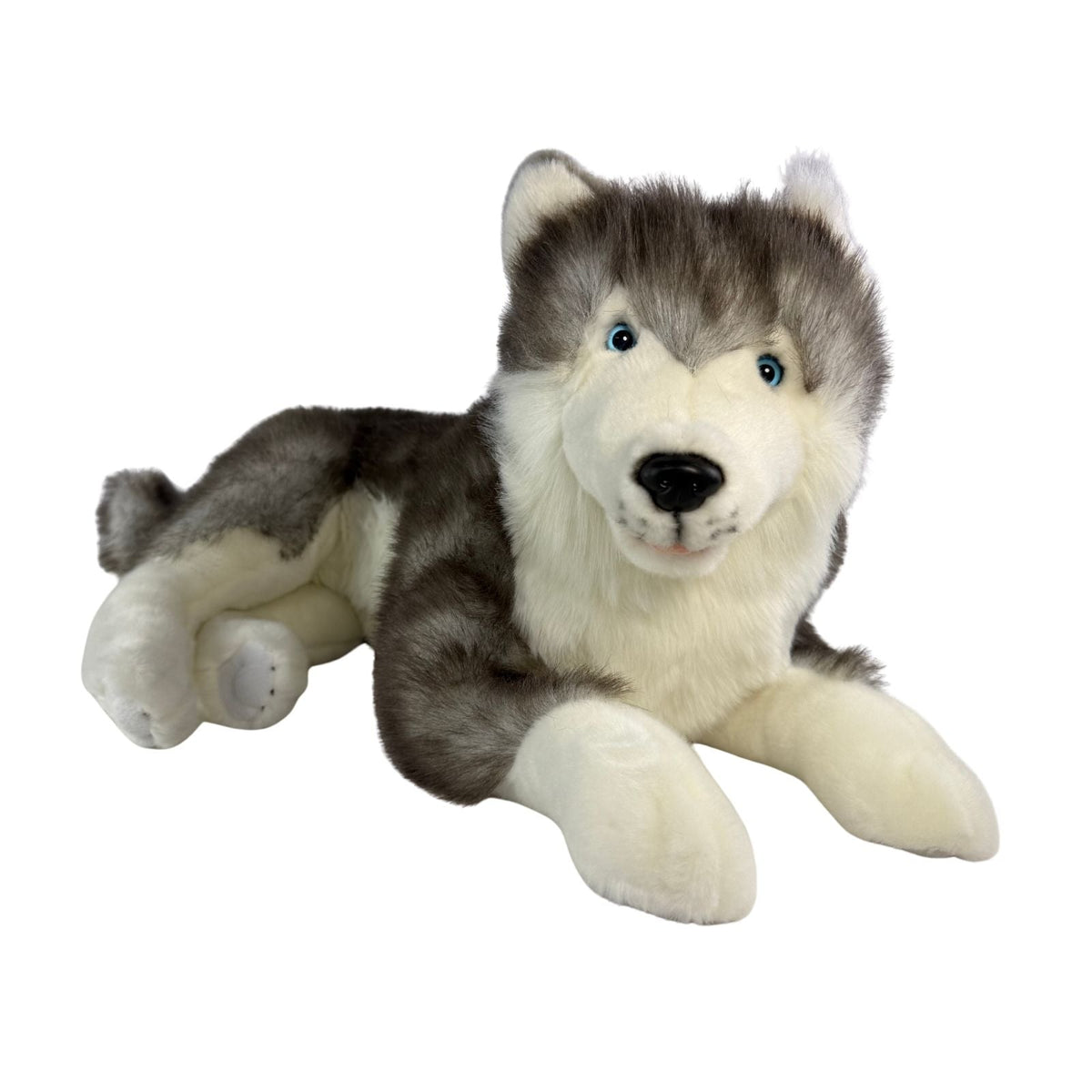 Bocchetta Rocket 62cm Lying Husky with Satin Pocket Plush Toy (Realistic Stuffed Animal Dog Gift)