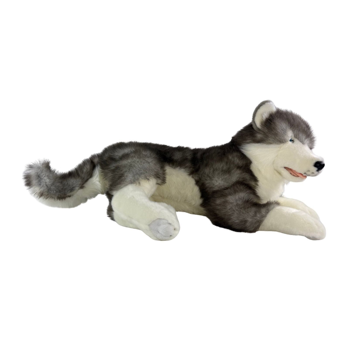 Bocchetta Rocket 62cm Lying Husky with Satin Pocket Plush Toy (Realistic Stuffed Animal Dog Gift)