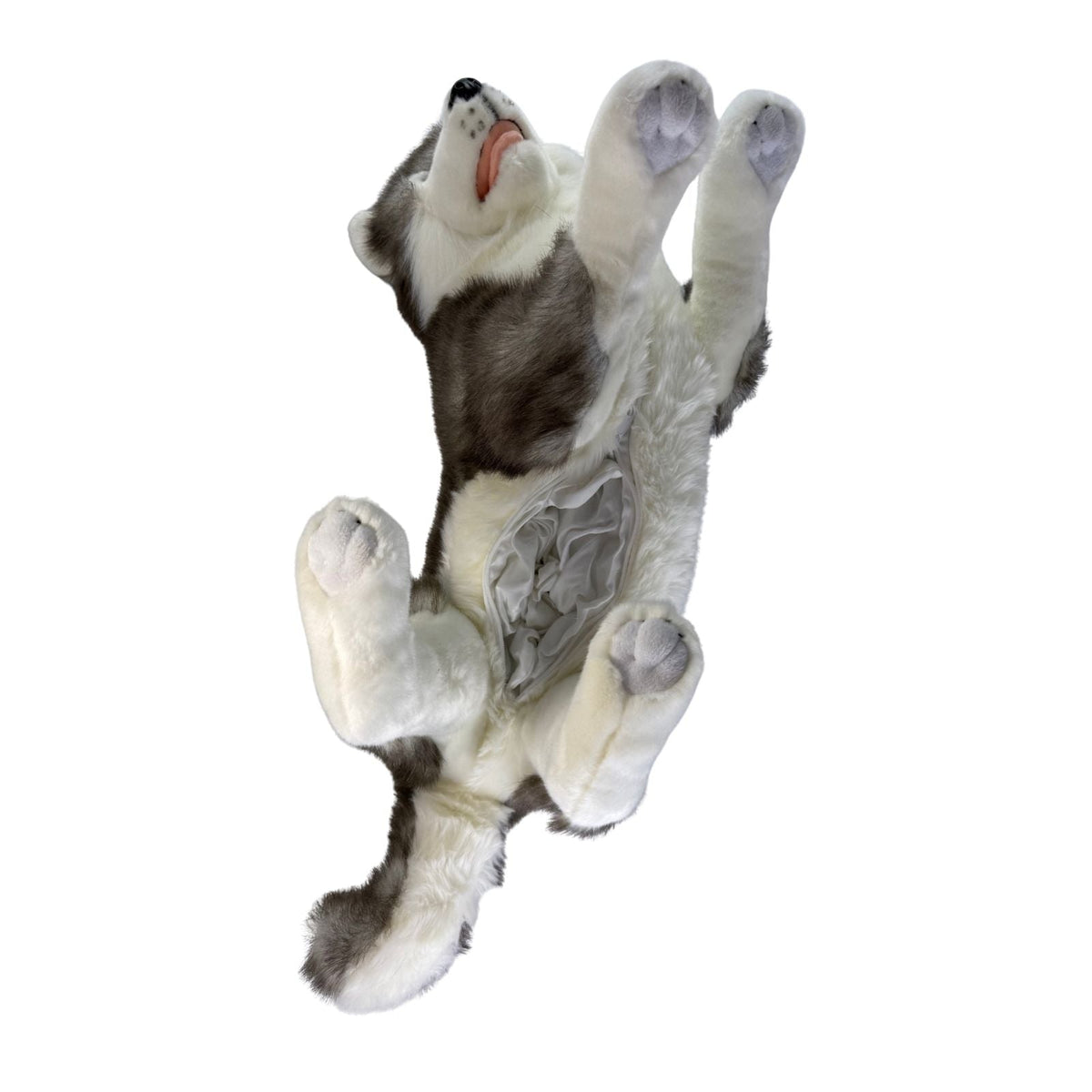 Bocchetta Rocket 62cm Lying Husky with Satin Pocket Plush Toy (Realistic Stuffed Animal Dog Gift)