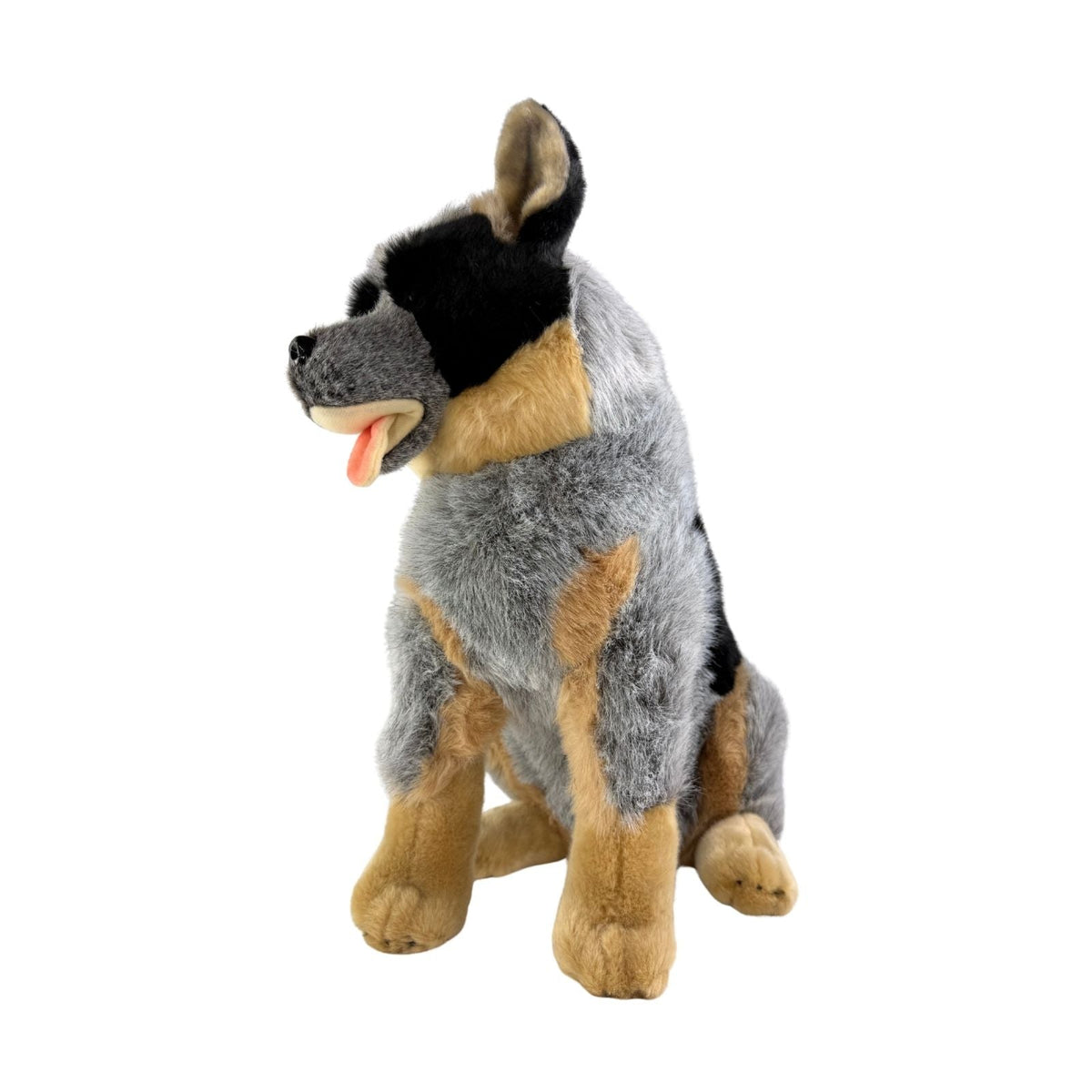 Bocchetta Rocky 41cm Sitting Blue Heeler Cattle Dog Plush Toy (Australian Stuffed Animal Gift)