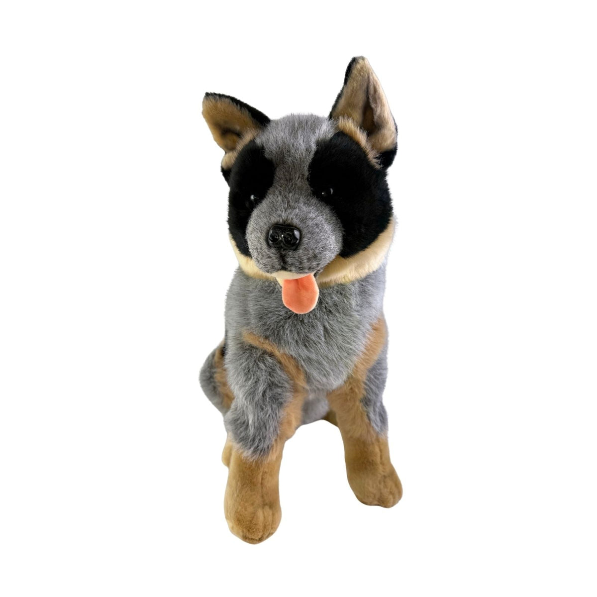 Bocchetta Rocky 41cm Sitting Blue Heeler Cattle Dog Plush Toy (Australian Stuffed Animal Gift)