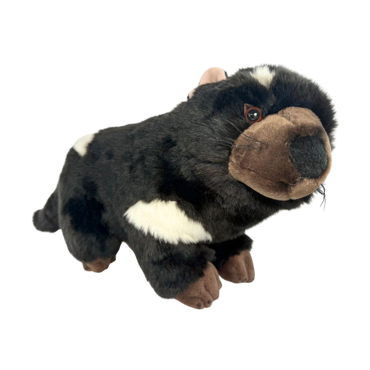 Bocchetta Rupert 30cm Tasmanian Devil Plush Toy (Australian Stuffed Animal Souvenir Gift)