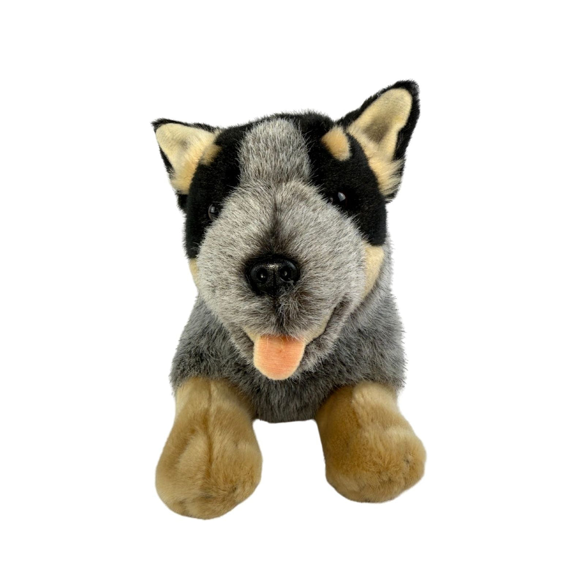 Bocchetta Rusty 28cm Floppy Blue Heeler Cattle Dog Puppy Plush Toy (Australian Stuffed Animal Gift)