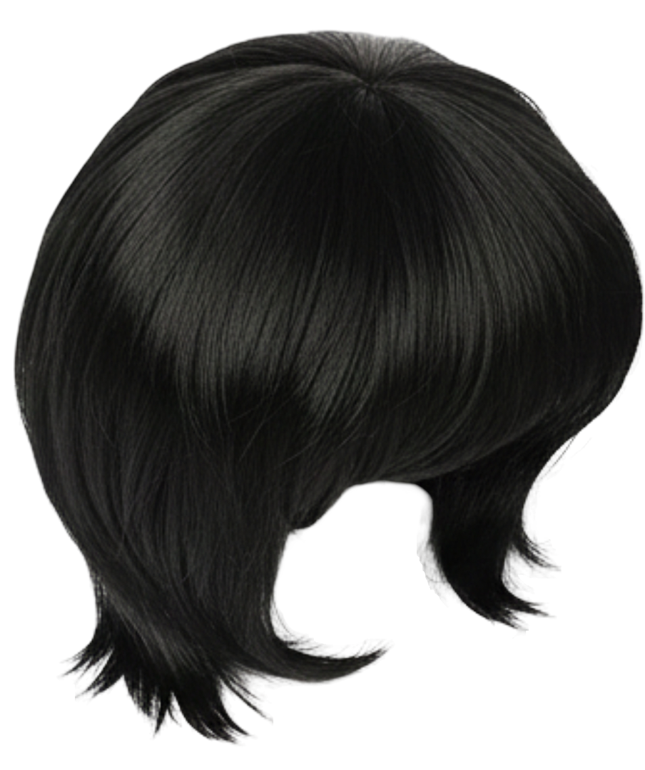 MENS COSTUME WIG Fancy Dress Halloween Party Accessory 70s 80s Hair Fun Funny - Black