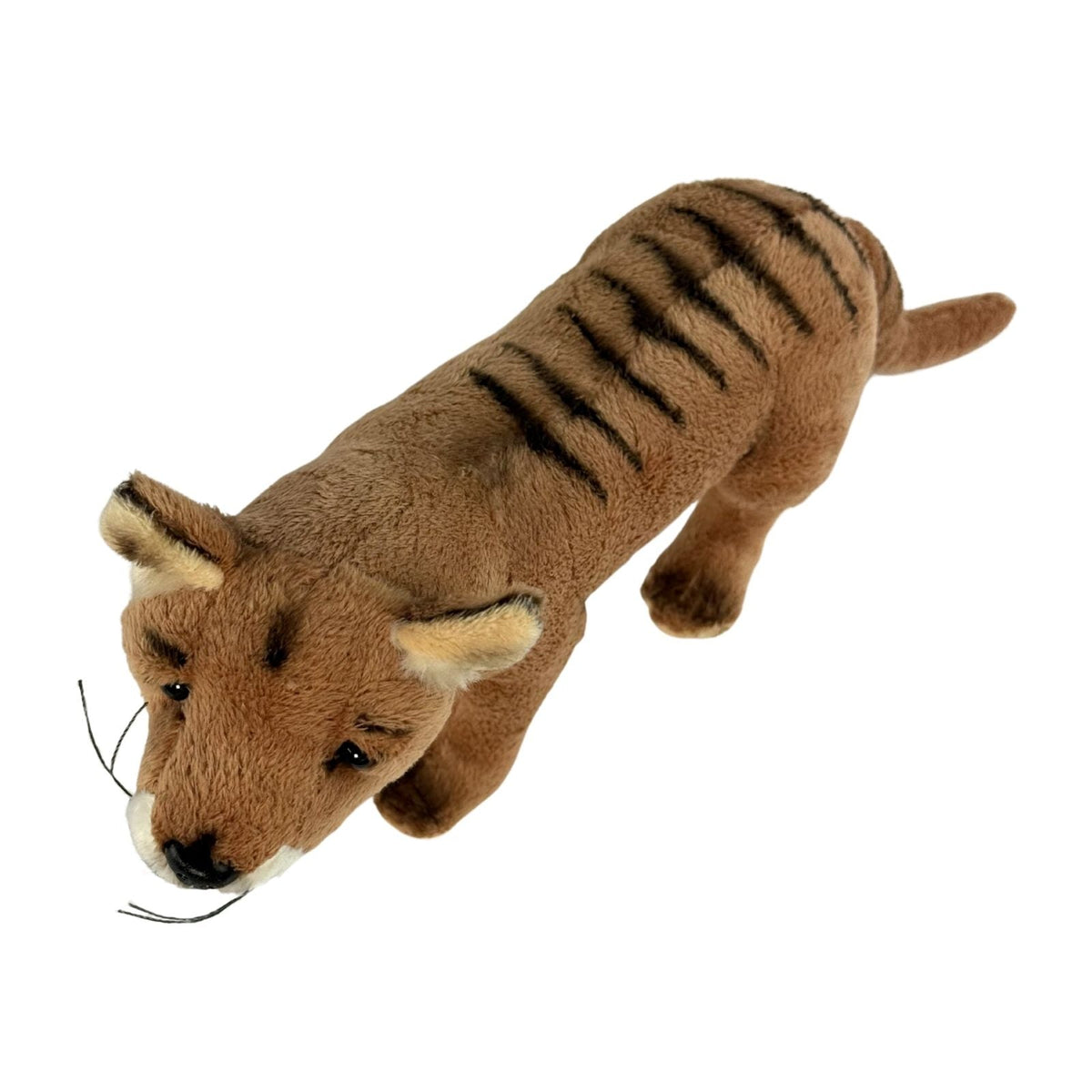 Bocchetta Sammy 24cm Tasmanian Tiger Plush Toy (Australian Stuffed Animal Souvenir Gift)
