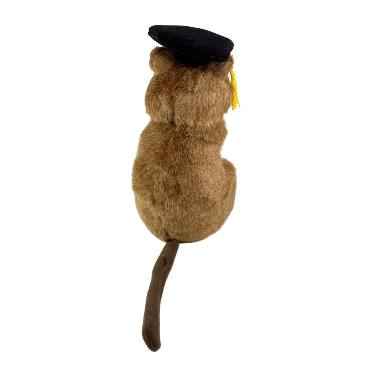 Bocchetta Sheldon 21cm Graduation Quokka Plush Toy (Stuffed Animal Grad Gift)