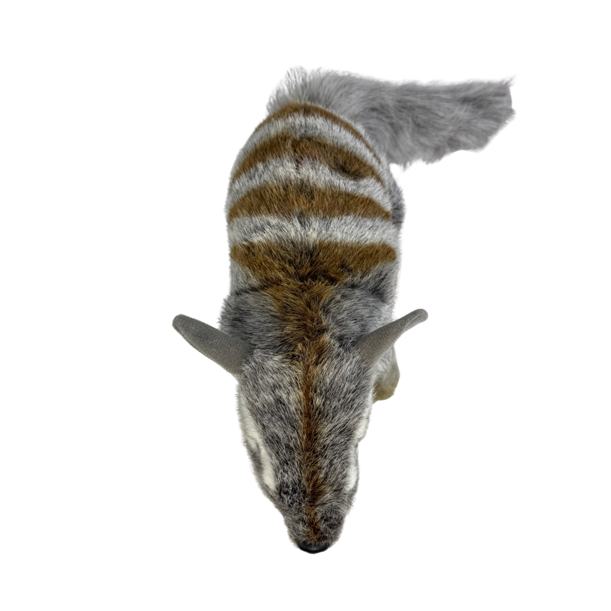 Bocchetta Sherbet 30cm Standing Numbat Plush Toy (Australian Stuffed Animal Souvenir Gift)