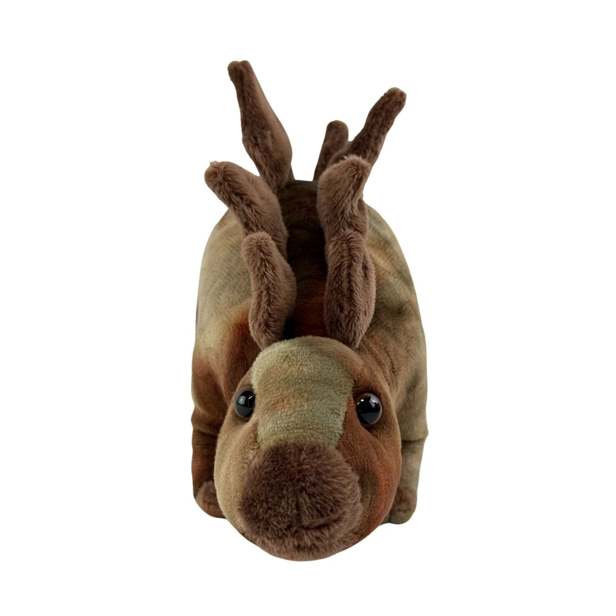 Bocchetta Spike 33cm Stegosaurus Dinosaur Plush Toy (Realistic Stuffed Animal Dino Gift)