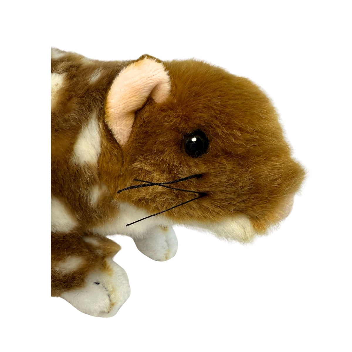 Bocchetta Spotty 20cm Eastern Quoll Plush Toy (Australian Stuffed Animal Souvenir Gift)