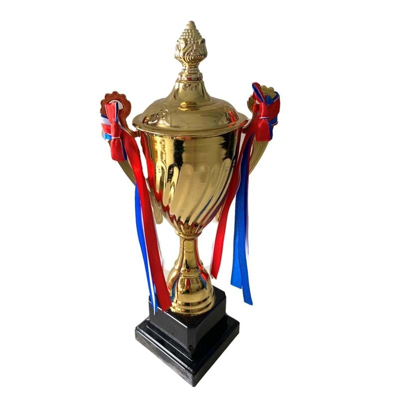 30cm Gold Trophy Cup - School Sports Day Winners/Events Award