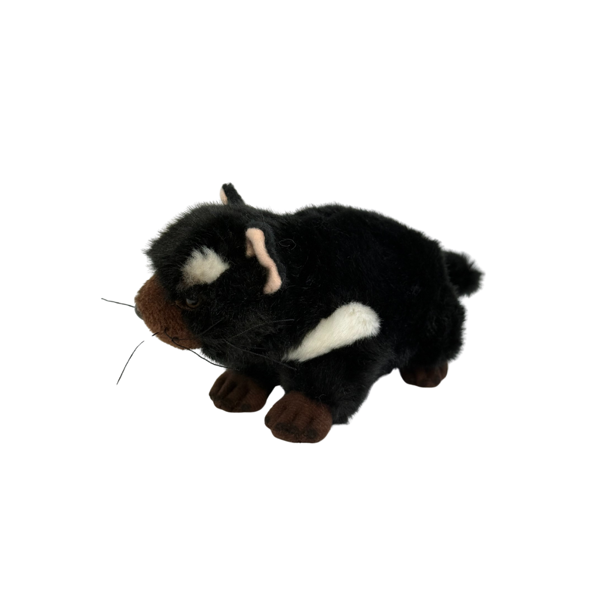 Bocchetta Tazzy 18cm Tasmanian Devil Plush Toy (Australian Stuffed Animal Souvenir Gift)