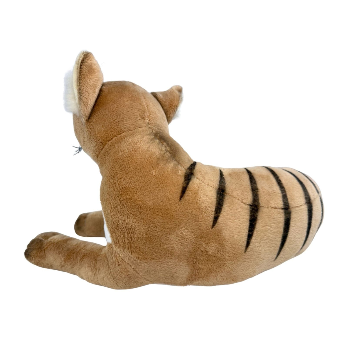 Bocchetta Theo 40cm Lying Tasmanian Tiger Plush Toy (Australian Stuffed Animal Souvenir Gift)