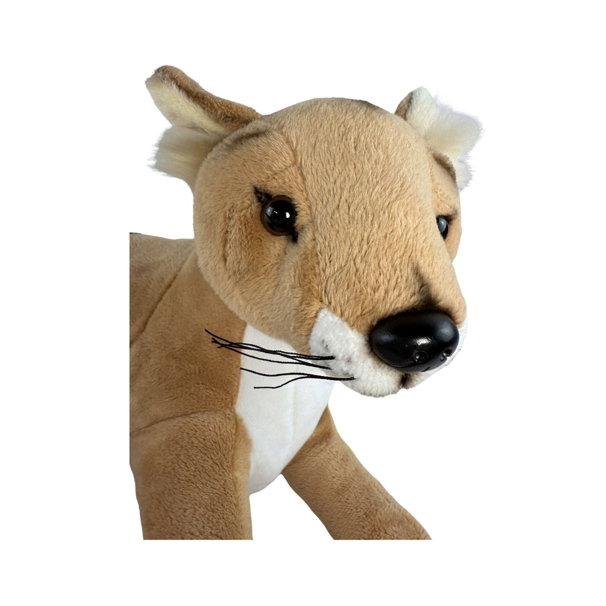 Bocchetta Theo 40cm Lying Tasmanian Tiger Plush Toy (Australian Stuffed Animal Souvenir Gift)