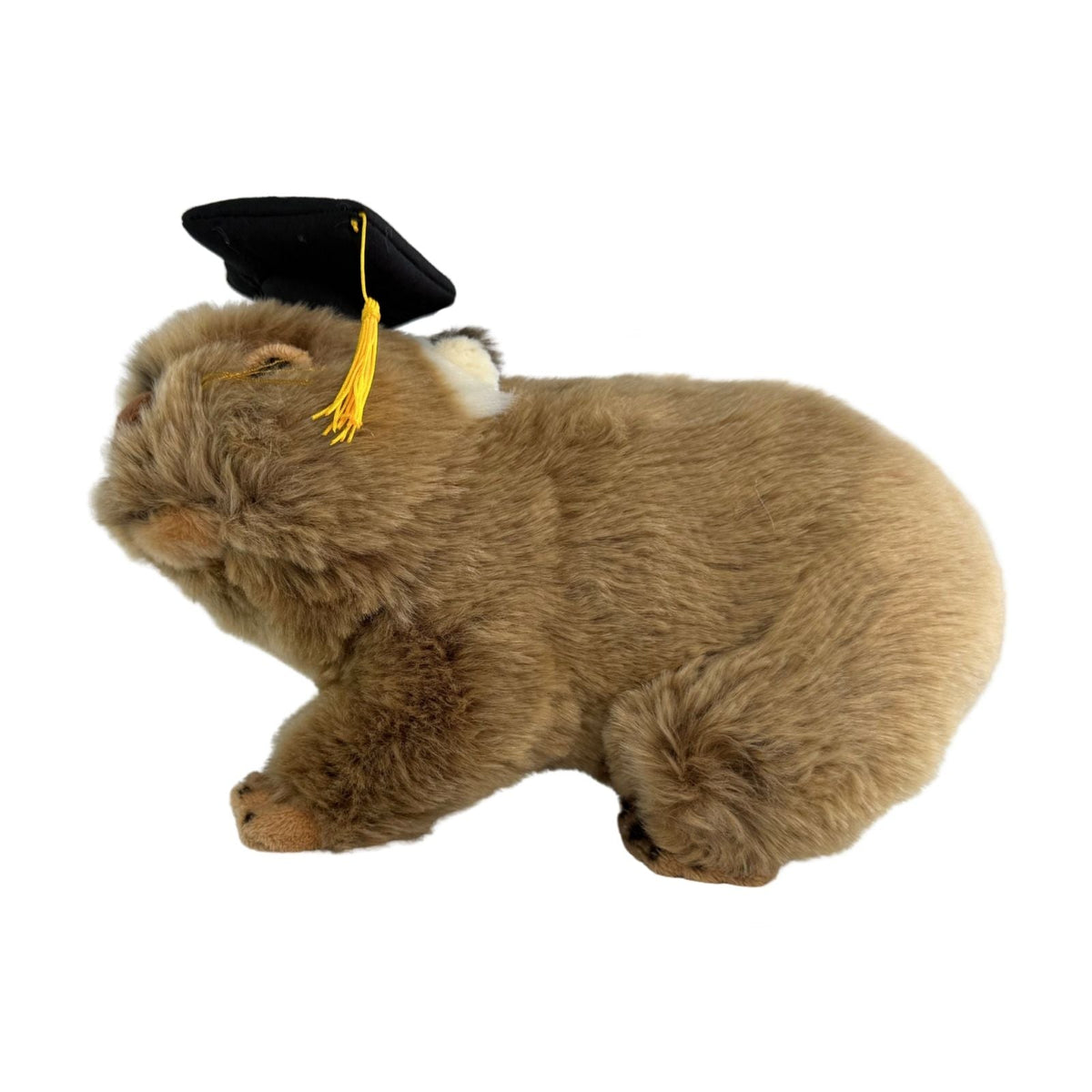 Bocchetta Tina 28cm Graduation Wombat Plush Toy (Stuffed Animal Grad Gift)