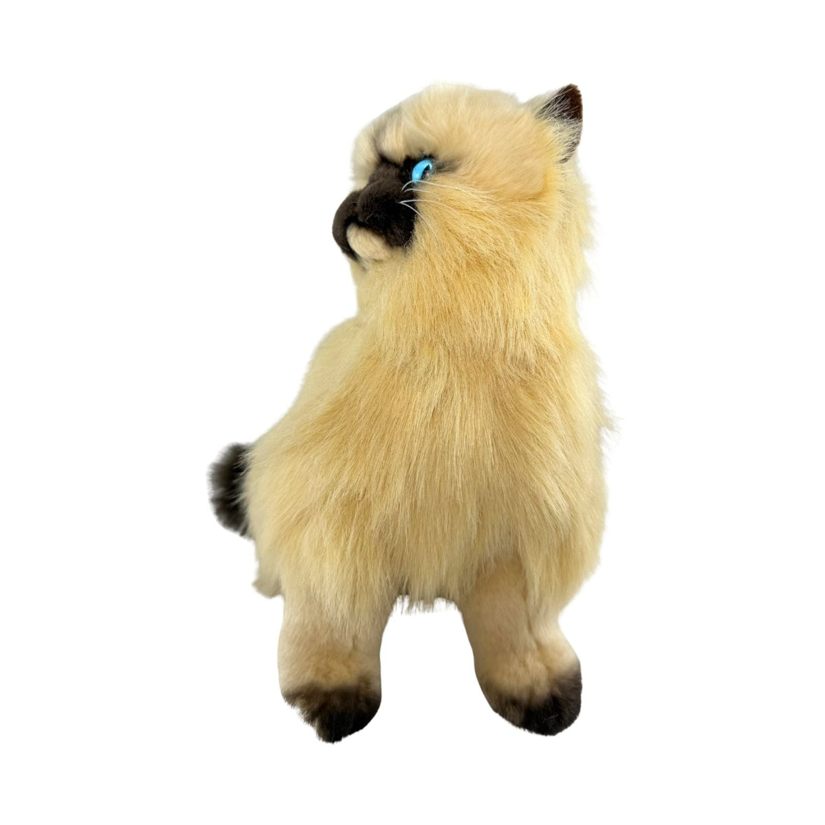 Bocchetta Toffee 34cm Sitting Himalayan Cat Plush Toy - Cream (Realistic Stuffed Animal Cat Gift)