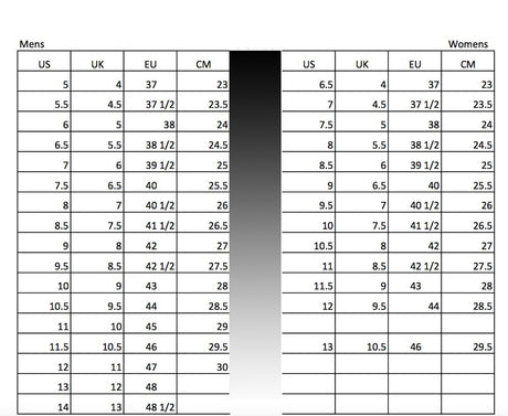 Vans Skate Chukka Low Side Stripe Lace Up Shoes in Black/Gum