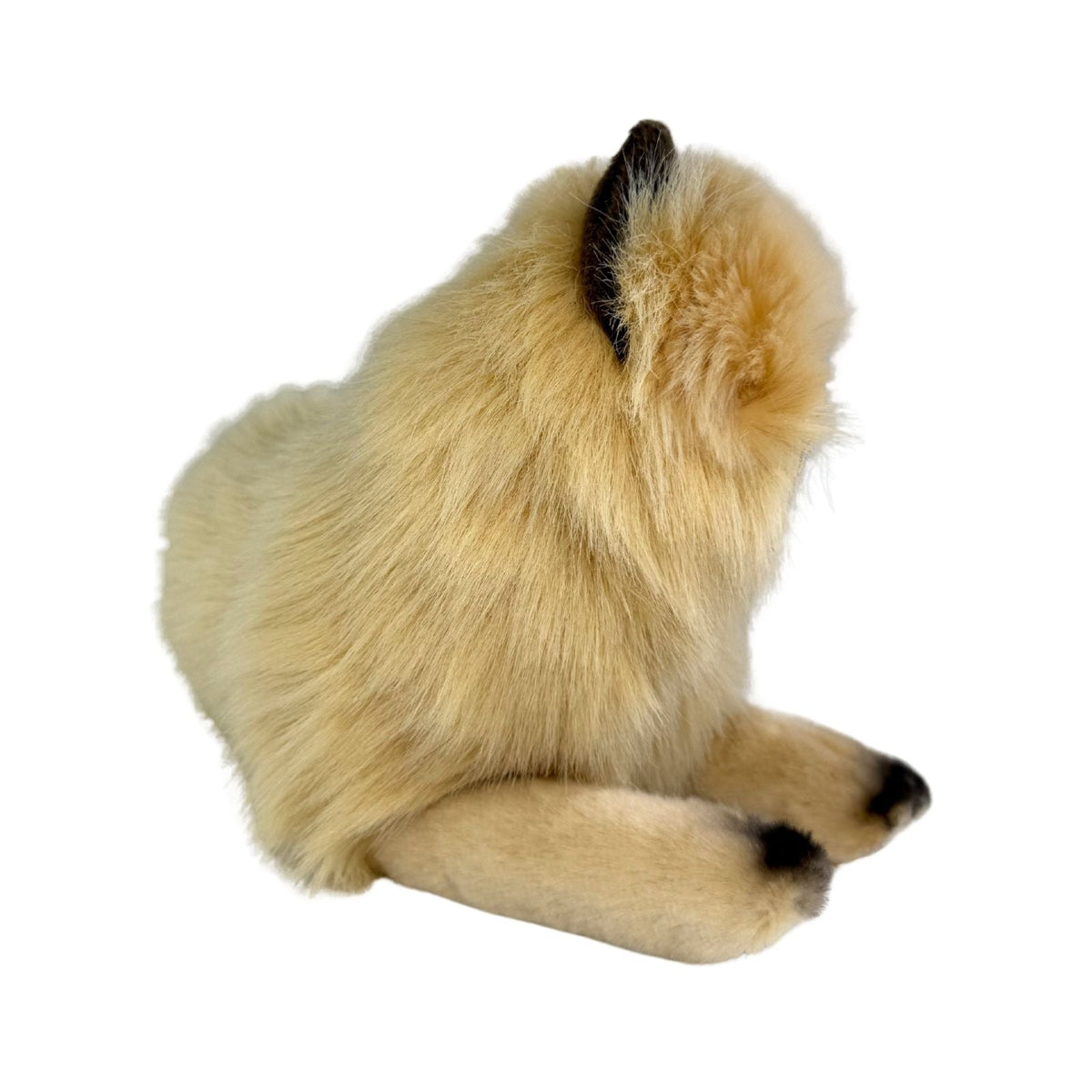 Bocchetta Violet 38cm Lying Himalayan Cat Plush Toy - Cream (Realistic Stuffed Animal Cat Gift)