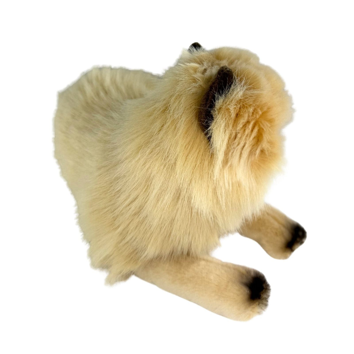 Bocchetta Violet 38cm Lying Himalayan Cat Plush Toy - Cream (Realistic Stuffed Animal Cat Gift)