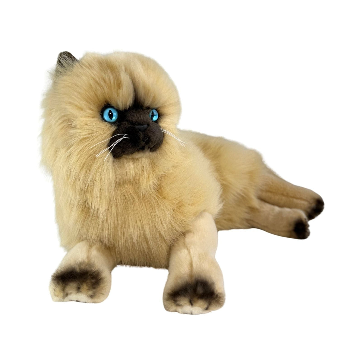 Bocchetta Violet 38cm Lying Himalayan Cat Plush Toy - Cream (Realistic Stuffed Animal Cat Gift)
