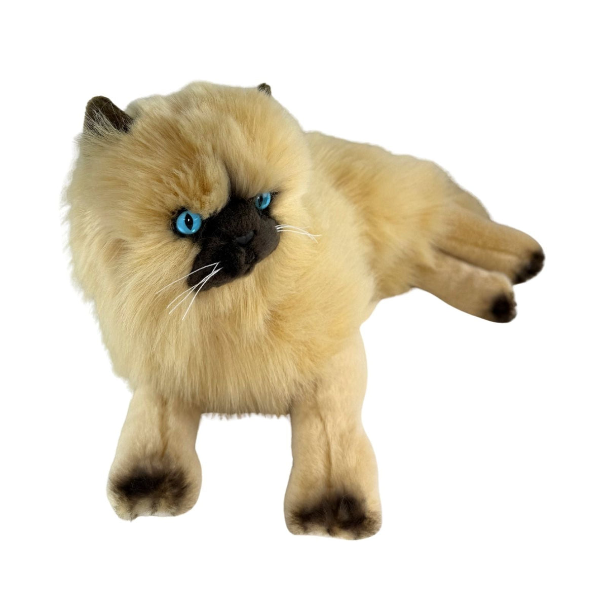 Bocchetta Violet 38cm Lying Himalayan Cat Plush Toy - Cream (Realistic Stuffed Animal Cat Gift)