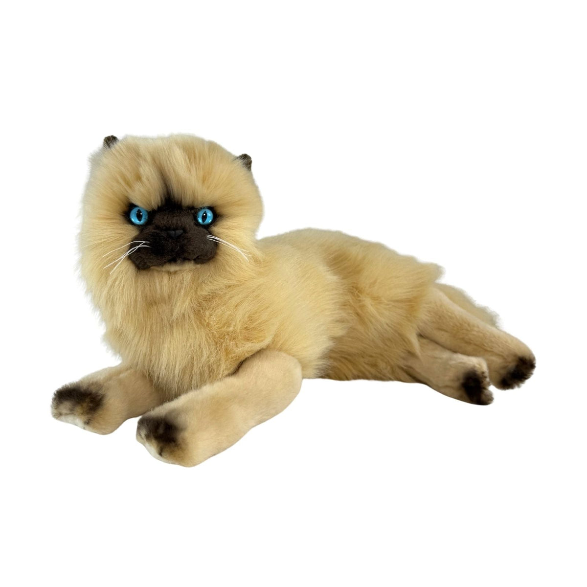 Bocchetta Violet 38cm Lying Himalayan Cat Plush Toy - Cream (Realistic Stuffed Animal Cat Gift)
