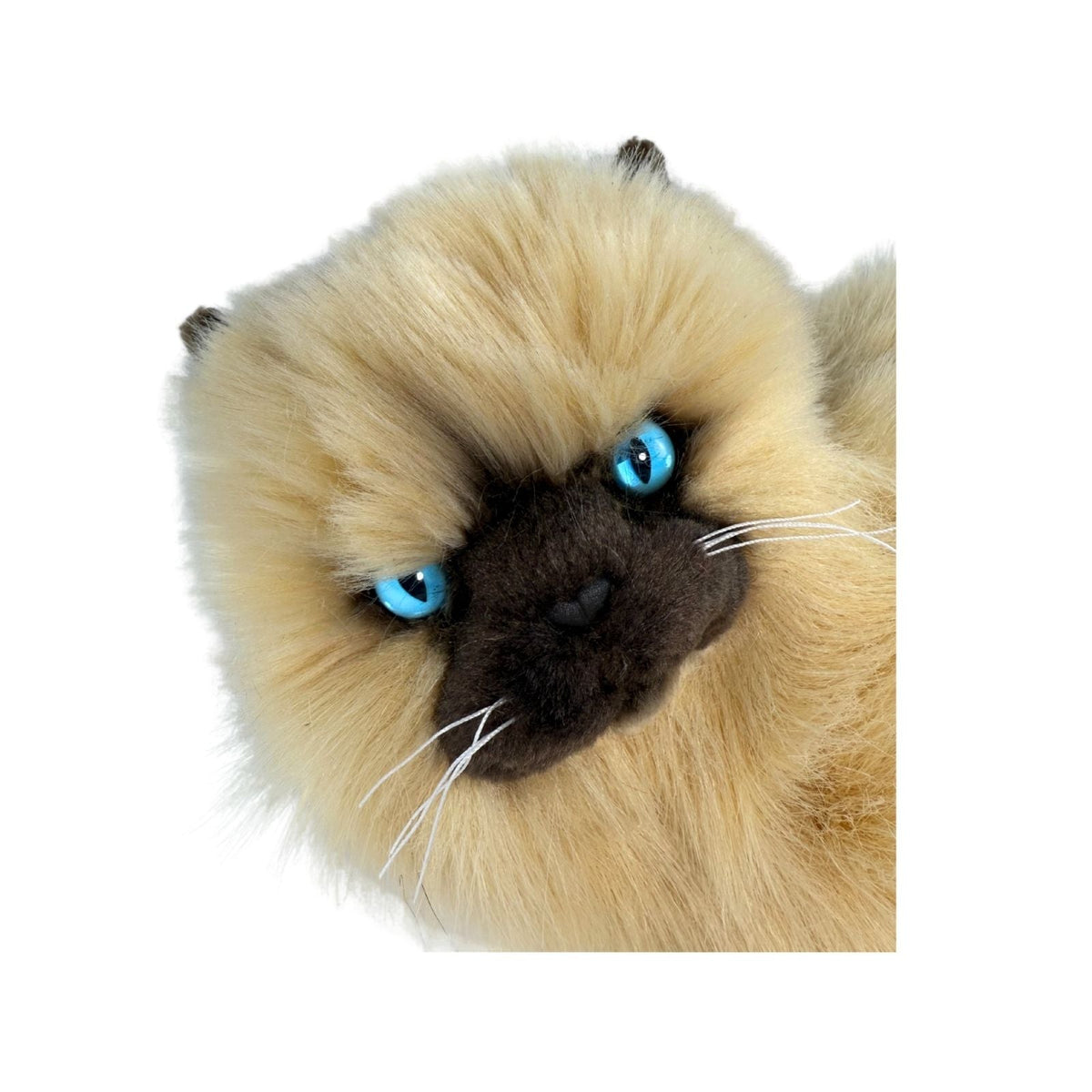 Bocchetta Violet 38cm Lying Himalayan Cat Plush Toy - Cream (Realistic Stuffed Animal Cat Gift)